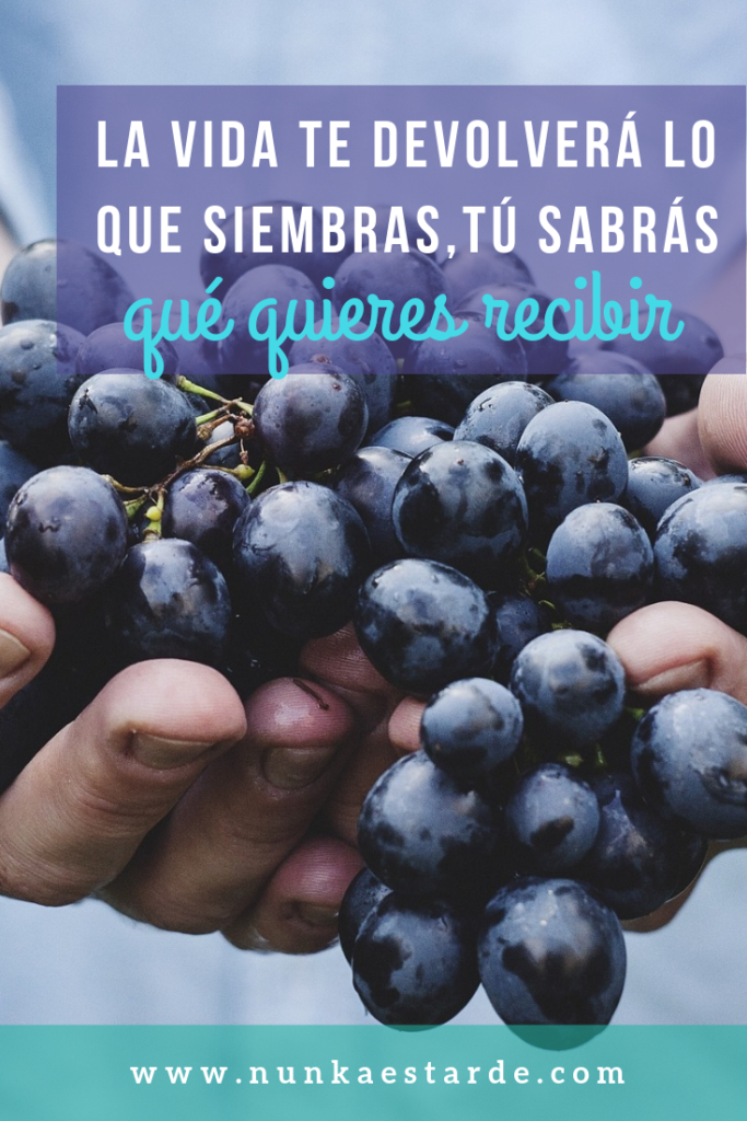 Uno cosecha lo que siembra. Decide qué quieres sembrar. Coaching, vive al máximo, reinventarse, volver a empezar